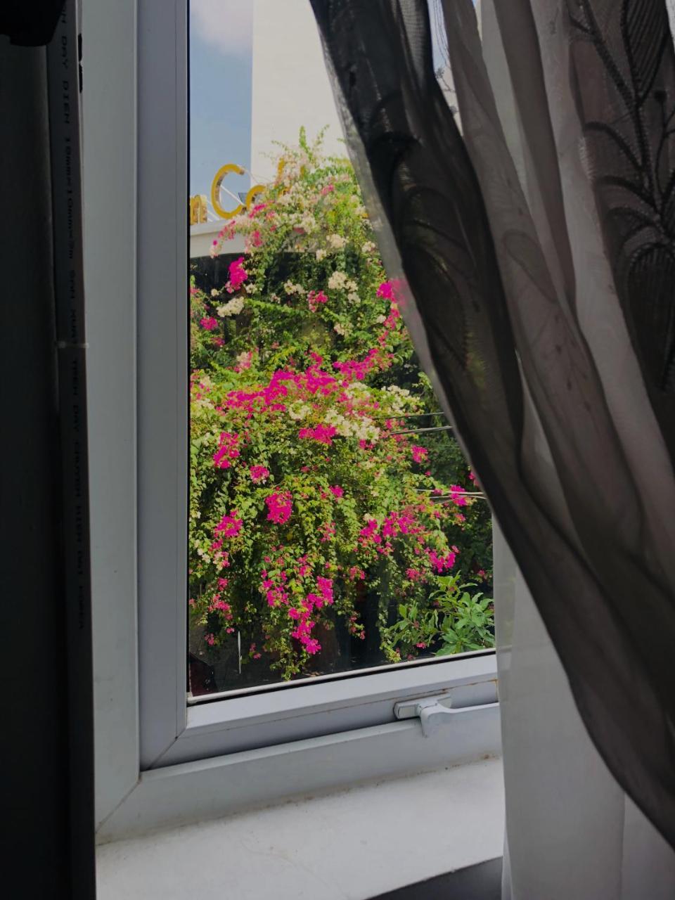 Tuong Van Homestay Đà Nẵng Ngoại thất bức ảnh